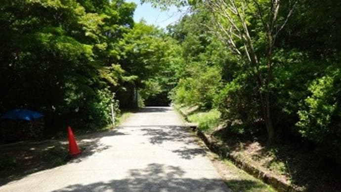 初めてのほしだ園地3