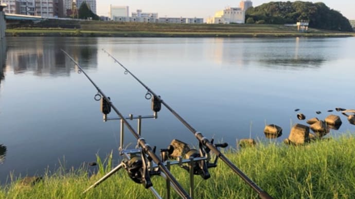 10月2日の鯉釣り