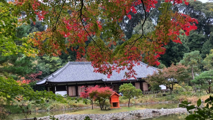 秋の浄瑠璃寺〜GoTo関西旅行⑦