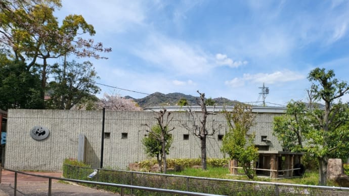 何年ぶりの動物園