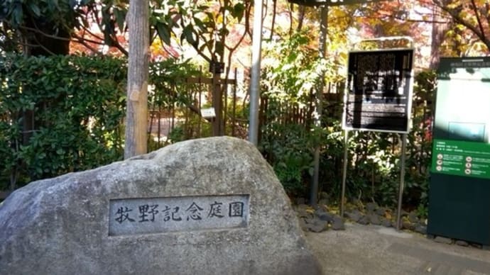牧野記念庭園へ
