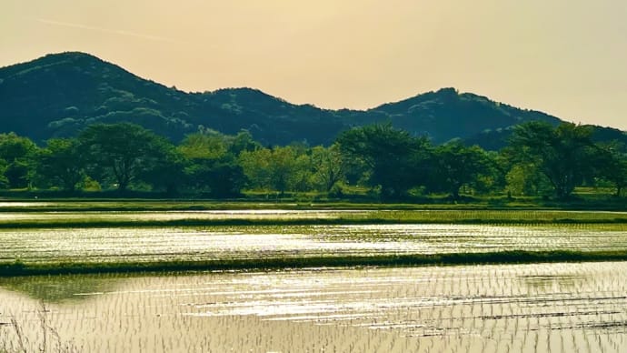奈良の実家へ…今日は父の命日
