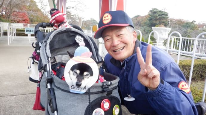 ジーマちゃんが観覧車に