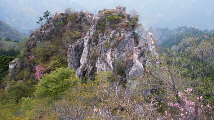 ヤシオツツジ咲く岩峰、西上州三ッ岩岳（2008年5月1日）