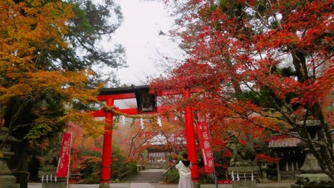 亀岡・紅葉めぐり ① ~錦繍の鍬山神社