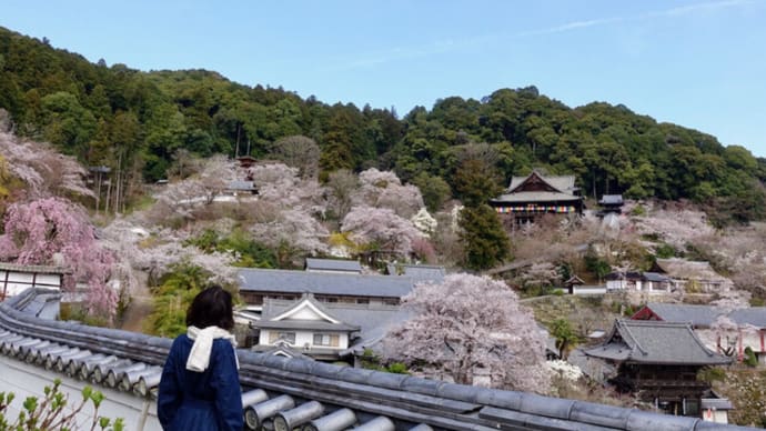 「私」と「長谷寺」とのご縁 ③