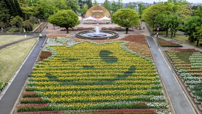 となみチューリップフェア2025