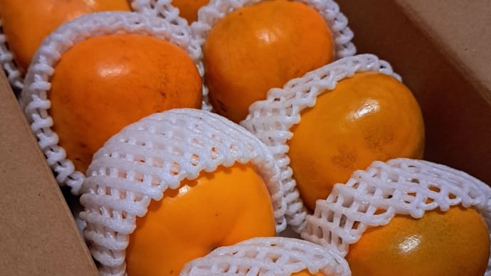 ふるさと納税返礼品✨🎁✨