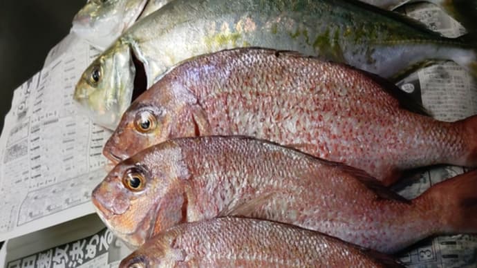 魚釣り