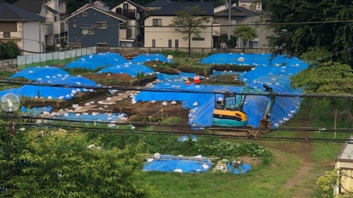 遺跡調査