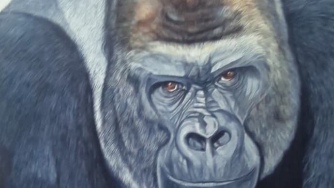 ゴリラ絵画を観る