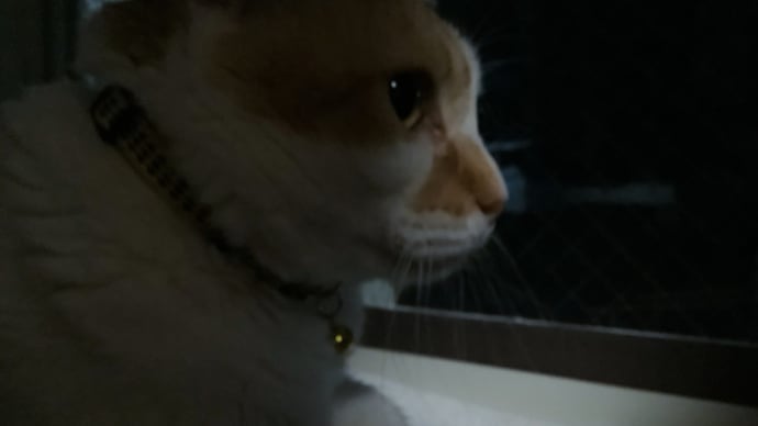 テレビドラマのような・・・