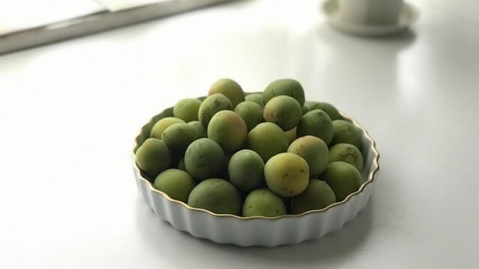 梅シロップは簡単に作れる