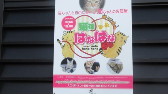 保護ネコカフェ併設の温泉旅館