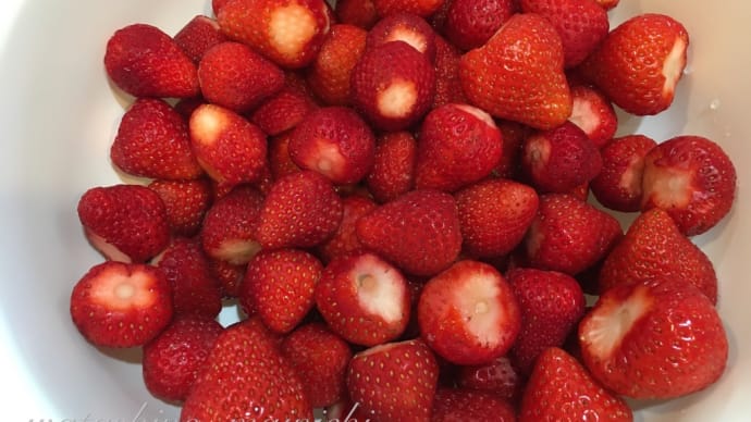 🍓 とうの昔に亡くなった母代わりの伯母に、優しい心遣いをしてくれる娘に感謝です。