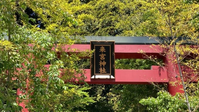 熱海のパワースポット 來宮神社で浄化されてきました!