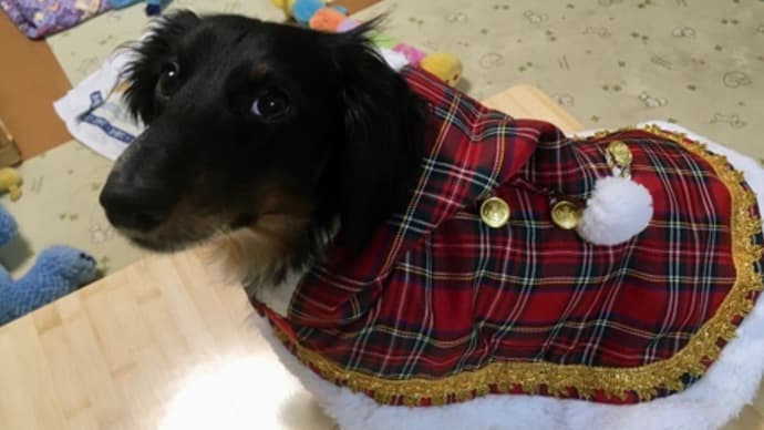 メリークリスマス🎄