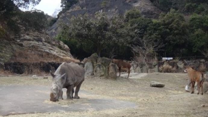 アラ古稀アドベンチャー5