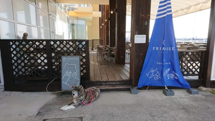 絢愛とフリアンディーズさん☕