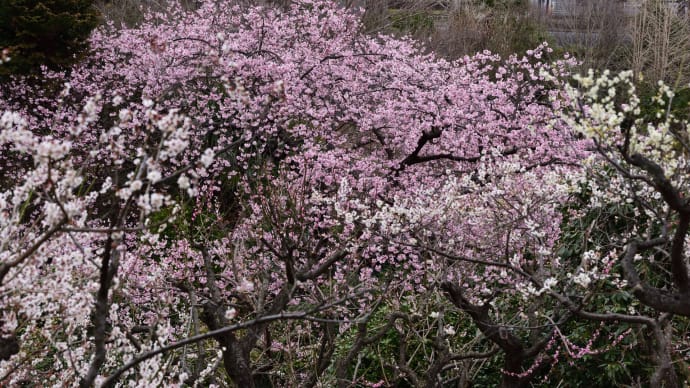 3.11は長野でした