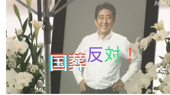 ★「国葬問題 国対ヒアリング」2022年8月29日