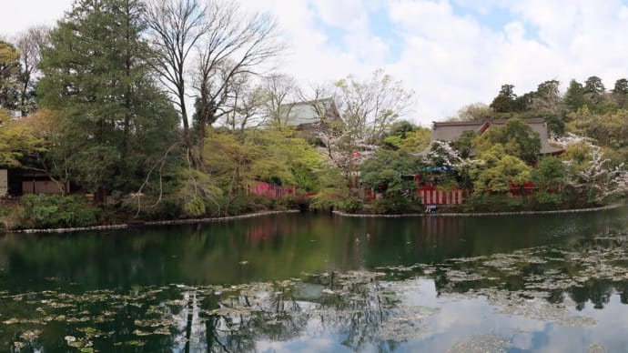 4月の吉祥寺・井の頭公園