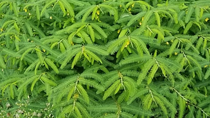 松村蒼石/震災忌大鉄橋を波洗ふ