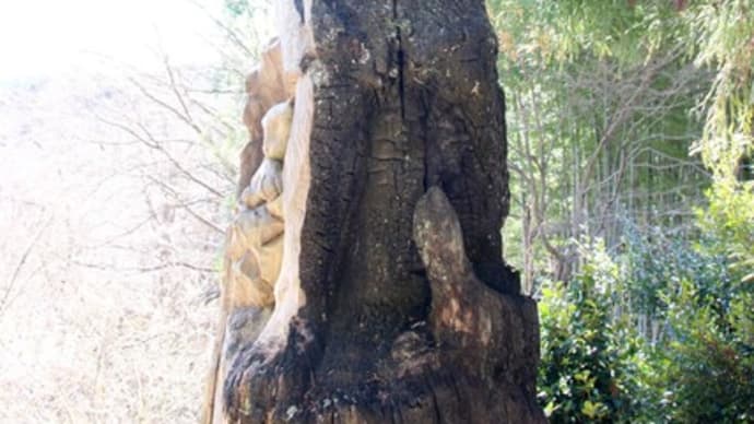 竹寺の牛頭天王と八坂氏のこと