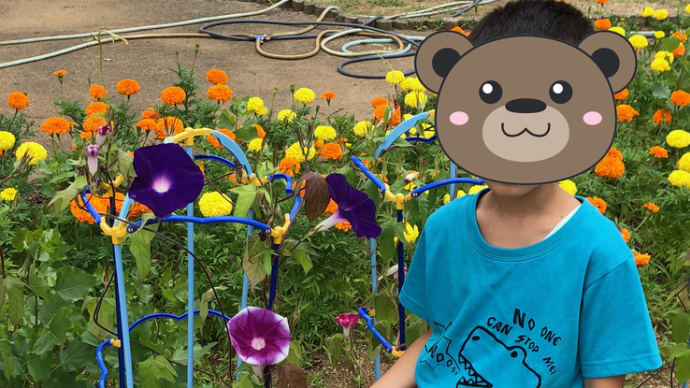 「こじらせ系」の長男くん