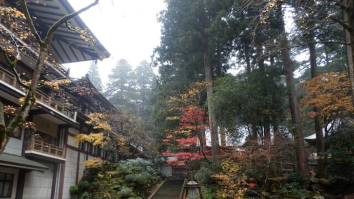 初冬の金沢はうれしい　その４　永平寺