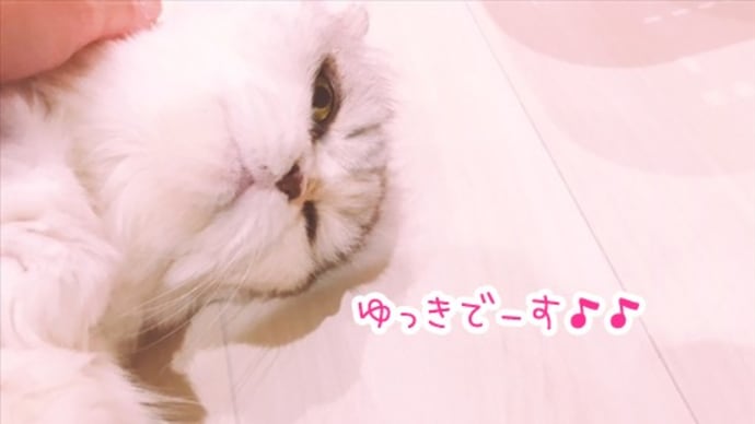 2019-2021 幸 の通院記録(春のめざめ)