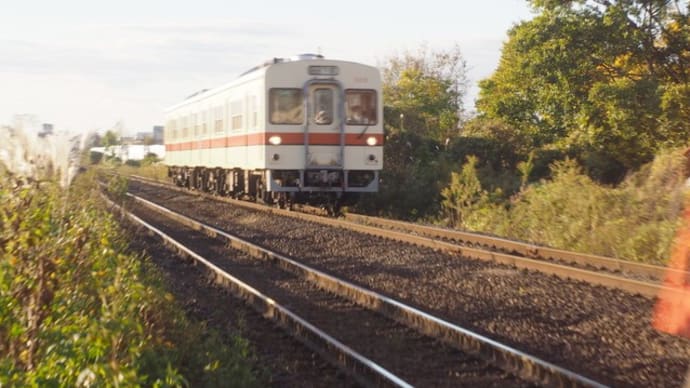 2024年11月19日 関東鉄道 0形,2400形復刻塗装