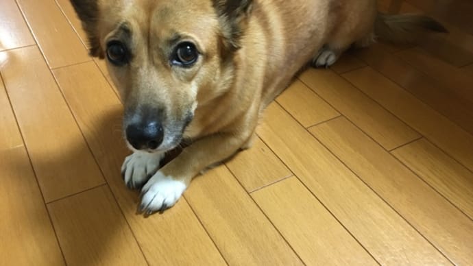 今年初☆