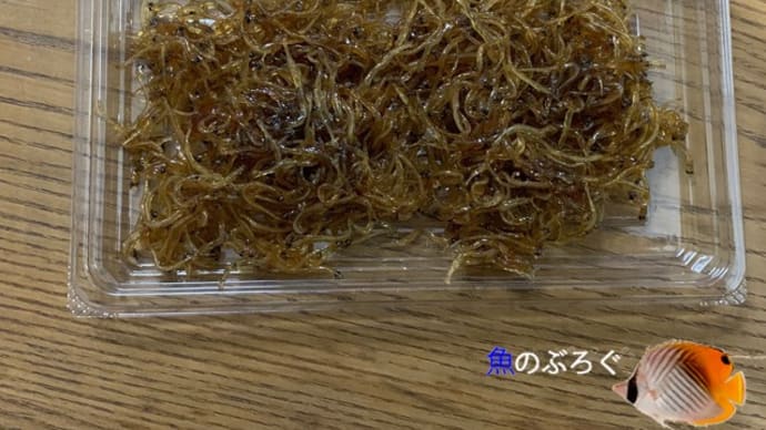 霞ヶ浦のシラウオ
