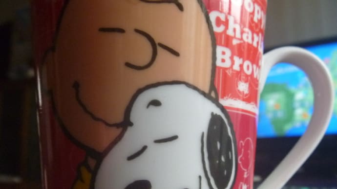 ついにお年寄りの仲間入り?