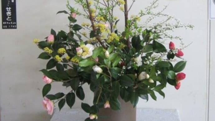 篠窪（しのくぼ）の隣町 花芸安達流　北澤様が「春分の花」を生けて下さいました　(2024/03/19)