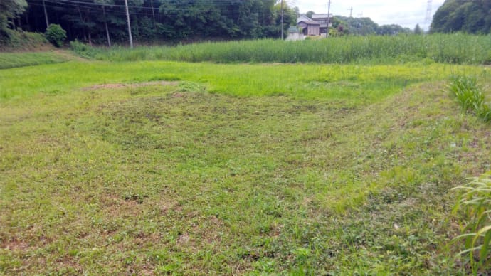 休耕田の草刈り