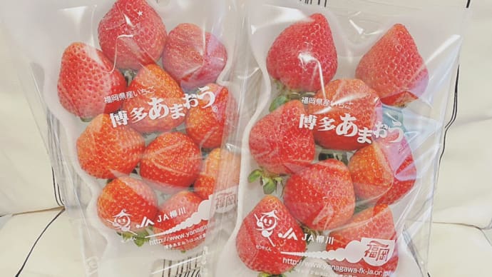 ~お客様からのいただきもの~