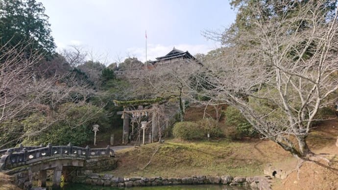 武雄神社（佐賀県　武雄市）の樹齢3000年の大楠はパワースポットでとてもオススメ！