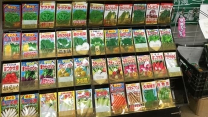 hanacafe流エコ農法は…菜園療法で喜ばれて…おうちで家庭菜園次々予約です✌️