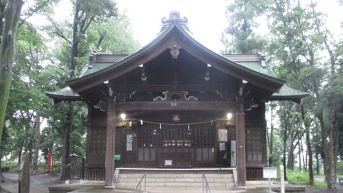 ザーザー降りの雨の中を浅間神社から花壇へと~(富士森公園2020年7月4日)