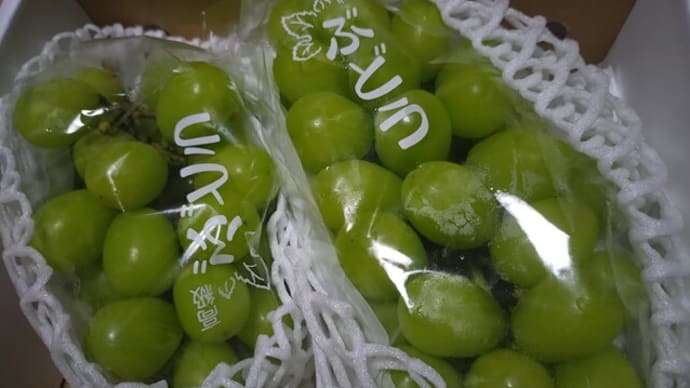 何だか果物関係が・・残念なことばかり