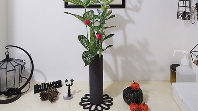 ブルースターとカーネーションとバンブー&苔玉のその後。