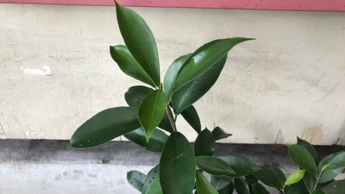 「Keeperの大躍進」はまだ始まりに過ぎない、かも!