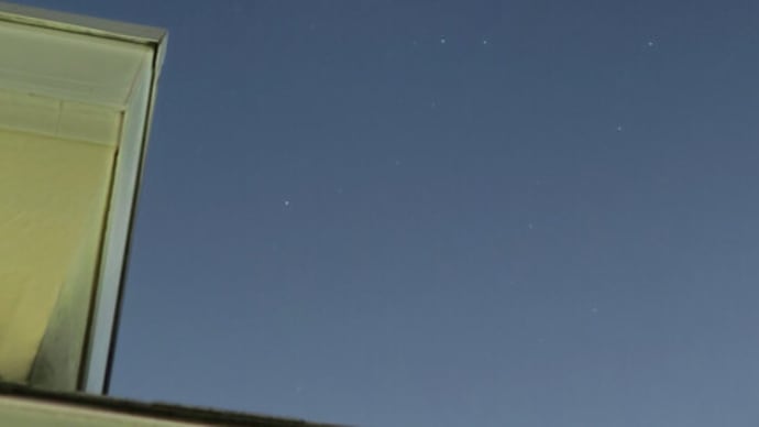 都内の星座(11)