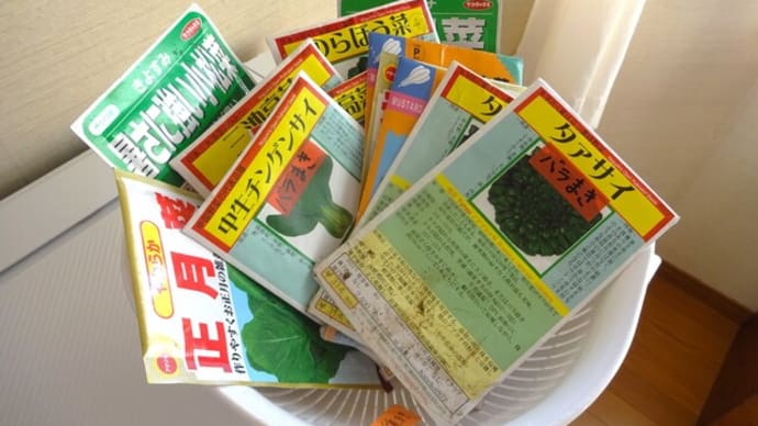 過酷な夏を超えて、また「種を蒔く」💦
