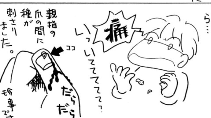 危険な とうがらし