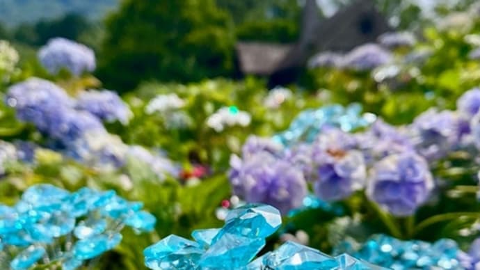 梅雨の中休み、半年ぶりに箱根へ。(その3)