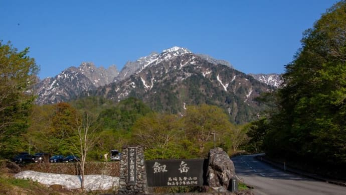 花春の訪れた番場島・早月尾根山歩 その三