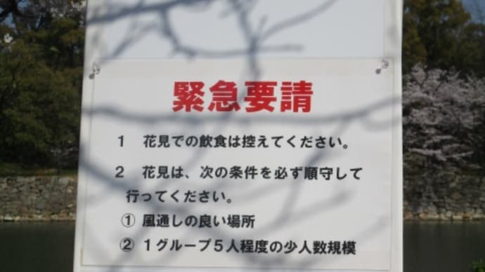 緊急要請!広島市も花見の自粛要請・・・桜が見事な広島城・・・ビールと花見弁当は来年まで我慢、ガマン